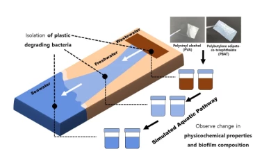 Thumbnail for Degradation of petroleum-based biodegradable plastics along aquatic pathway