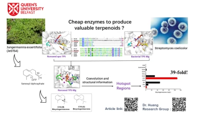 Thumbnail for Computing-informed engineering of terpene synthases: a data-driven approach to efficient biosynthesis