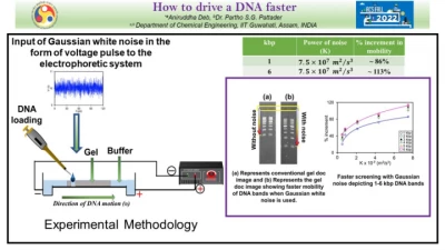 Thumbnail for How to drive a DNA macromolecule faster