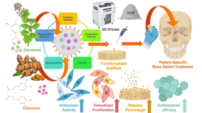 Thumbnail for Exploring the potential of nanoparticle-encapsulated carvacrol and curcumin for bone health