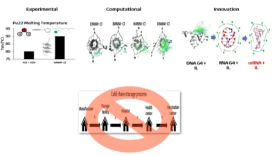 Thumbnail for To probe the binding of TMPyP4 to c-MYC G-quadruplex in water and in imidazolium-based ionic liquids: Strategy towards developing stabilizers for nucleic acid therapeutics