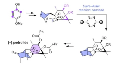 Thumbnail for Enantioselective total synthesis of (+)-pedrolide | Poster Board #3410
