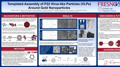 Thumbnail for Templated assembly of P22 virus-like particles (VLPs) around gold nanoparticles | Poster Board #3224