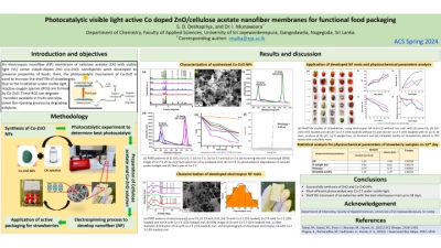 Thumbnail for Photocatalytic visible light active Co doped ZnO/cellulose acetate nanofiber membranes for functional food packaging