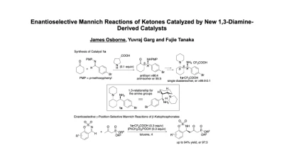 Thumbnail for Enantioselective Mannich reactions of ketones catalyzed by new 1,3-diamine-derived catalysts