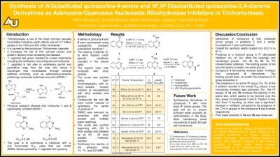 Thumbnail for Synthesis of N-substituted quinazoline-4-amine and N 2,N 4 -disubstituted quinazoline-2,4-diamine derivatives as adenosine/guanosine nucleoside ribohydrolase inhibitors in trichomoniasis