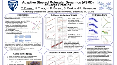 Thumbnail for Adaptive steered molecular dynamics (ASMD) of large proteins | Poster Board #2330