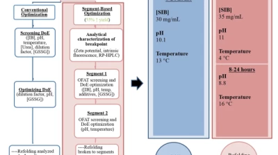 Thumbnail for Optimization of the in-vitro refolding of biotherapeutic Fab Ranibizumab