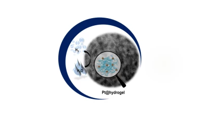 Thumbnail for Platinum nanoparticles doped self-assembled peptide bolaamphiphile hydrogel as an efficient electrocatalyst for the hydrogen evolution reaction