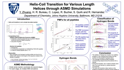 Thumbnail for Helix-coil transition for various length helices through ASMD simulations | Poster Board #2448