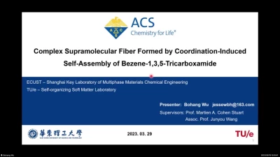Thumbnail for Complex supramolecular fiber formed by coordination-induced self-assembly of benzene-1,3,5-tricarboxamide