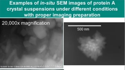 Thumbnail for Enabling high-resolution SEM imaging for wet materials