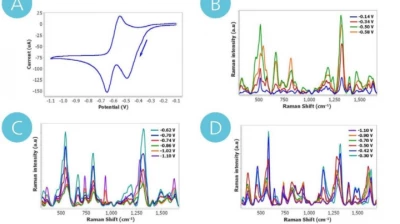Thumbnail for Usefulness of time-resolved Raman spectroelectrochemistry in different approaches: pesticides detection, multivitamin complexes evaluation and fluorogenic systems characterization.