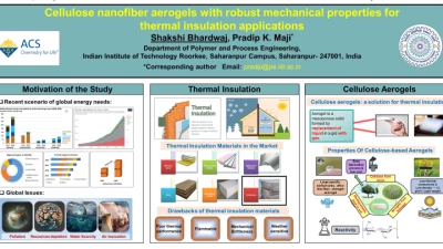 Thumbnail for Cellulose nanofiber aerogels with robust mechanical properties for thermal insulation applications