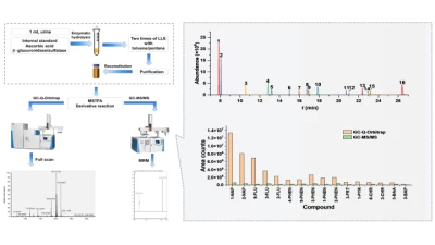 Thumbnail for Comparison of GC-Orbitrap to GC–MS/MS in analyzing polycyclic aromatic hydrocarbons metabolites in human urine