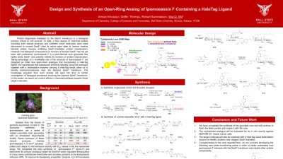 Thumbnail for Synthesis of HaloTag ligand-modified analogues of ipomoeassin F to probe the blocked Sec61 translocon