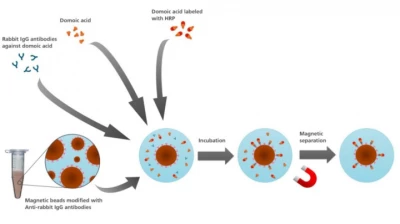 Thumbnail for Electrochemical competitive magneto-immunoassay for the determination of neurotoxin domoic acid