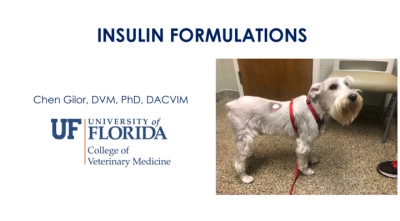 Diabetic Ketoacidosis and Hyperglycemic Hyperosmolar Syndrome ...