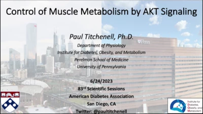Thumbnail for Mitochondrial Metabolism and Glucose Homeostasis
