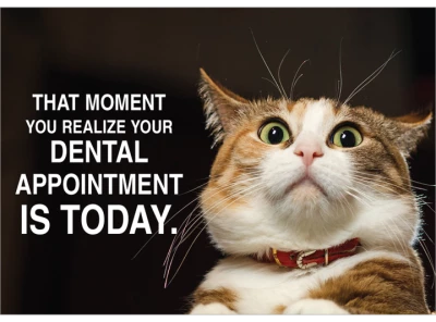 Thumbnail for Your Dental Appointment is Today Laser Card
