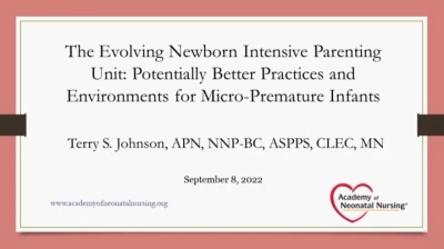 Thumbnail for The Evolving Newborn Intensive Parenting Unit: Potentially Better Practices and Environments for Micro-Premature Infants