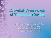 Thumbnail for Essential Components of Telehealth Nursing Model