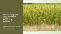 Thumbnail for Medical Marijuana and CBD: Where is the Evidence?