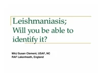 Thumbnail for In-Brief - Leishmaniasis: Will You be Able to Identify It?
