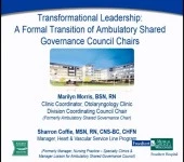 Thumbnail for Transformational Leadership: A Formal Transition of Ambulatory Shared Governances Council Chairs
