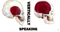 Thumbnail for Vertically Speaking!
