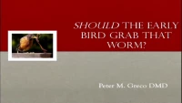 Thumbnail for Should the Early Bird Grab That Worm?