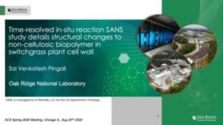Thumbnail for Time-resolved in-situ reaction SANS study details structural changes to noncellulosic biopolymer in switchgrass plant cell wall
