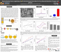 Thumbnail for Electrochemical nano-roughening of gold microstructured electrodes for the enhanced detection of copper and glucose