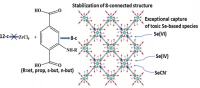 Thumbnail for New microporous Zr4+ MOFs with 8-connected structures and high efficiency for removal of toxic Se species from aqueous media
