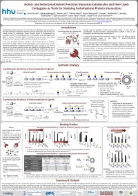 Thumbnail for Homo- and heteromultivalent precision glycomacromolecules and their lipid-conjugates as tools for studying carbohydrate-protein interactions