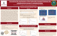Thumbnail for Unraveling the mechanism of the hydroxide transport between the cobaltocenium groups in polyelectrolytes