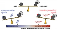 Thumbnail for Learning the differences between apo- and SARS-CoV-2-bound ACE2 structures