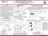 Thumbnail for Development of maximum entropy optimized force fields and their insight into homologue resolved HP1 phase separation