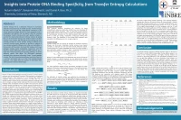 Thumbnail for Insights into protein-DNA binding specificity from transfer entropy calculations