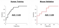 Thumbnail for Comparison of urinary volatile organic compound biomarkers for prostate cancer between mice and men