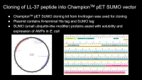Thumbnail for Optimization of expression and purification of cathelicidin LL37 with the SUMO tag
