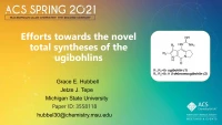 Thumbnail for Efforts towards the novel total syntheses of the ugibohlins