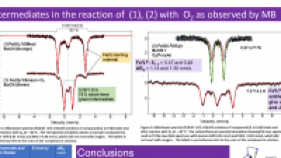Thumbnail for Mössbauer studies of models complexes for cysteine dioxygenase