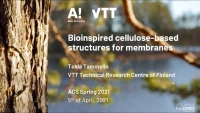 Thumbnail for Bioinspired cellulose-based structures for membranes