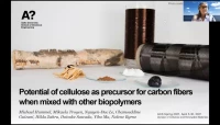 Thumbnail for Potential of cellulose as precursor for carbon fibers when mixed with other biopolymers