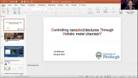 Thumbnail for Controlling nanoarchitectures through holistic metal chemistry