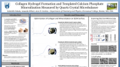 Thumbnail for Collagen hydrogel formation and templated calcium phosphate mineralization measured by quartz crystal microbalance