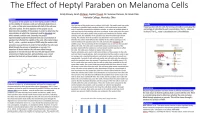 Thumbnail for The effect of heptylparaben on melanoma cells