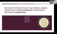 Thumbnail for Reconstitution of membrane proteins via oxime-mediated in situ phospholipid formation