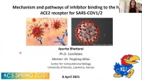 Thumbnail for Pathway and mechanisms of drug binding to ACE2, the functional receptor for SARS-COV1/2